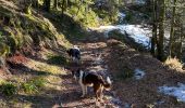 Tour Wandern Xonrupt-Longemer - Riche de Belle-vue - Photo 6