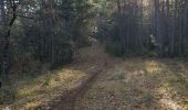 Tour Wandern Manosque - Stationnement Pelicier, direction Dauphin - Photo 1