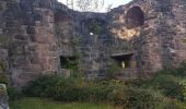 Trail Walking Schramberg - Schramberg - Châteaux de Falkenstein et de Hohenschramberg - Photo 12