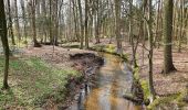 Trail On foot Neuenkirchen - Gelbe Nordic-Walking-Strecke - Photo 8