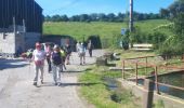 Tour Nordic Walking Herve - Battice_Fort - Photo 4