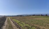 Excursión Senderismo Périgneux - Boucle Marieux-La Gare-Nus - Photo 9