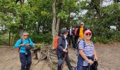 Trail Walking Nainville-les-Roches - Les grands avaux - Photo 9