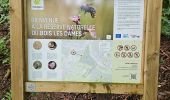 Tour Wandern Chaudfontaine - Chaudfontaine  - Bois les Dames - Photo 3