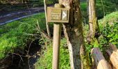 Tour Wandern Gedinne - Willerzie 190425 - Photo 12
