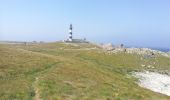 Tocht Stappen Ouessant - Lampaul - tour nord d'Ouessant - Photo 11