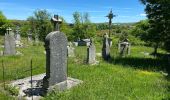 Trail Walking Recoules-d'Aubrac - Au temps des fleurs et des genêts - Photo 6