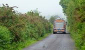 Percorso A piedi West Cork - Glanatnaw Walk - Photo 7