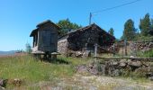 Trail Walking Cabril - PARC NATUREL GR 50 LAGUNE XERTELO - Photo 4