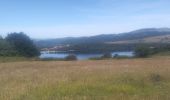 Tocht Lopen Le Lac-d'Issarlès - lac d'issarles et plus - Photo 6