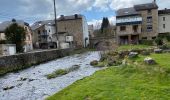 Randonnée Marche Vielsalm - Vielsalm Gouvy 17,5 km - Photo 14