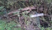 Trail Walking Saint-Branchs - St Branchs deu mouru en Echandon - Photo 7