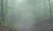 Trail Walking Esneux - tilf . ferme de femelette.  roche aux faucons.  avister. tilf  - Photo 7