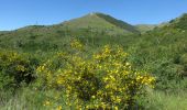 Tour Wandern Vence - Puy de Tourrettes et plateau de Saint Barnabé - Photo 2