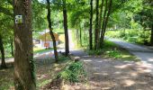 Tocht Stappen Durbuy - Bomal sur Ourthe 170625 - Photo 8