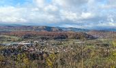 Trail Horseback riding Gresswiller - 2023-11-19 Picnic CVA Les pelouses du Jesselsberg - Photo 4