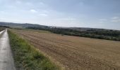 Trail Mountain bike Laneuville-sur-Meuse - 55-vtt-Laneuville-Pouilly-17km - Photo 1