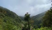 Trail Walking Santana - Levada  - Photo 11