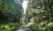 Randonnée Marche Jalhay - moulin Thorez . pont du centenaire / aller via la hoêgne  / retour via ravel Sart station  - Photo 2