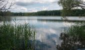 Tocht Te voet Chorin - Rundweg Bachsee - Photo 5