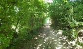 Trail Walking Dalhem - mortroux DA7  - Photo 19