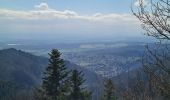 Trail Walking Vieux-Thann - Rando Marcheurs..27/03/2025.. - Photo 4
