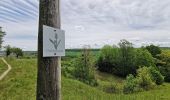 Tour Zu Fuß Mandelbachtal - Bliesgau Tafeltour - Photo 2