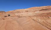 Tour Wandern Unknown - 2024 Vermillon Cliffs Edmaiers trail - Photo 12