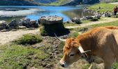 Tocht Stappen Cangas de Onís - Covadonga tour des lacs  - Photo 16