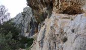 Trail Walking Le Revest-les-Eaux - Grottes de la Ripelle Mt Combe - Photo 7