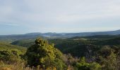 Tocht Noords wandelen Le Bosc - Le Bosc Grandmont - Photo 9