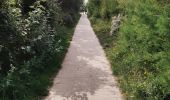 Trail Walking Bredene - Promenade à Bredene - Photo 5