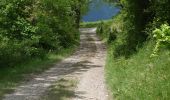 Tocht Stappen Glandage - L'Aupillon (Glandage) - Photo 13