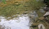 Trail Walking Les Planches-en-Montagne - Les Planches en Montagne Gorges de la Langouette  - Photo 10
