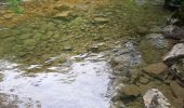 Tocht Stappen Les Planches-en-Montagne - Les Planches en Montagne Gorges de la Langouette  - Photo 10