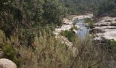 Excursión Senderismo Zonza - balade qui monte beaucoup mais belle - Photo 2