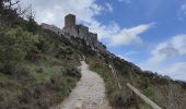 Tour Wandern Cucugnan - Château de Quéribus  - Photo 12