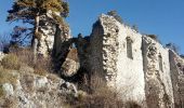 Randonnée Marche nordique Séranon - La crête du Bauroux_Seranon - Photo 12