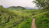 Trail Walking Verchaix - lac de joux plane - Photo 15