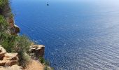 Randonnée Marche La Ciotat - la ciotat - cassis par les cretes - Photo 5
