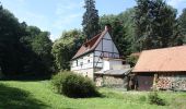 Tour Zu Fuß Bad Bibra - Schnecktalweg - Photo 9