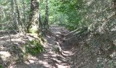 Tour Wandern Limburg - 20230821 - La Louveterie 7.2 Km - Photo 1