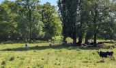 Trail Walking Azay-sur-Cher - Azay-sur-Cher - Brandon Truyes le Grais - 23.7km 185m 5h25 (50mn) - 2025 05 18 - Photo 1