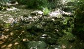 Trail Walking Saissac - le lampy - Photo 8
