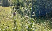 Randonnée Marche Fleurus - forêt des loisirs Fleurus - Photo 16