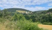 Trail Walking Poncin - Poncin  - Photo 3