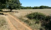 Tour Wandern Saint-Antonin-Noble-Val - sentier de Lou Finot - Photo 5