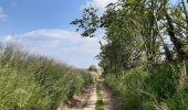 Randonnée Marche Huldenberg - petite rando autour du kinderveld  - Photo 7