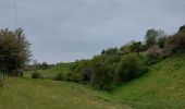 Tour Wandern Châtelet - Marche éphémères Ecureuil - Photo 15