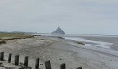 Trail Walking Huisnes-sur-Mer - Mont-St-Michel - 14km 64m 4h30 - 2017 06 26 - Photo 17